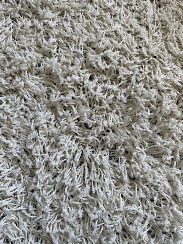 Customer photo for review titled "Good for the price. A decent rug"