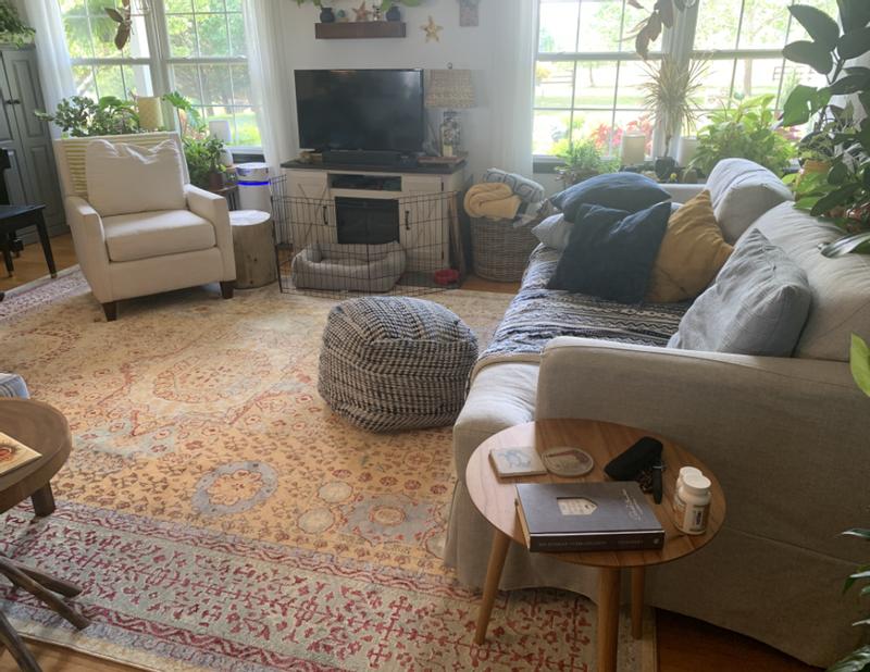 Customer photo for review titled "Perfect distressed rug with great colors"