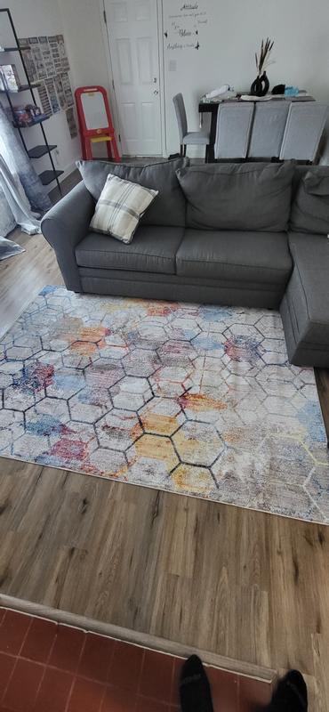 Customer photo for review titled "Andromeda Area rug  5'3 x7 . Rugs .com  ."