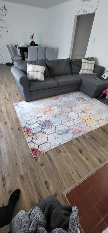 Customer photo for review titled "Andromeda Area rug  5'3 x7 . Rugs .com  ."