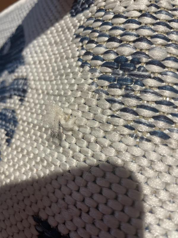 Customer photo for review titled "Coastal runner"