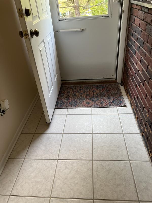 Customer photo for review titled "Perfect rug for pet owners"