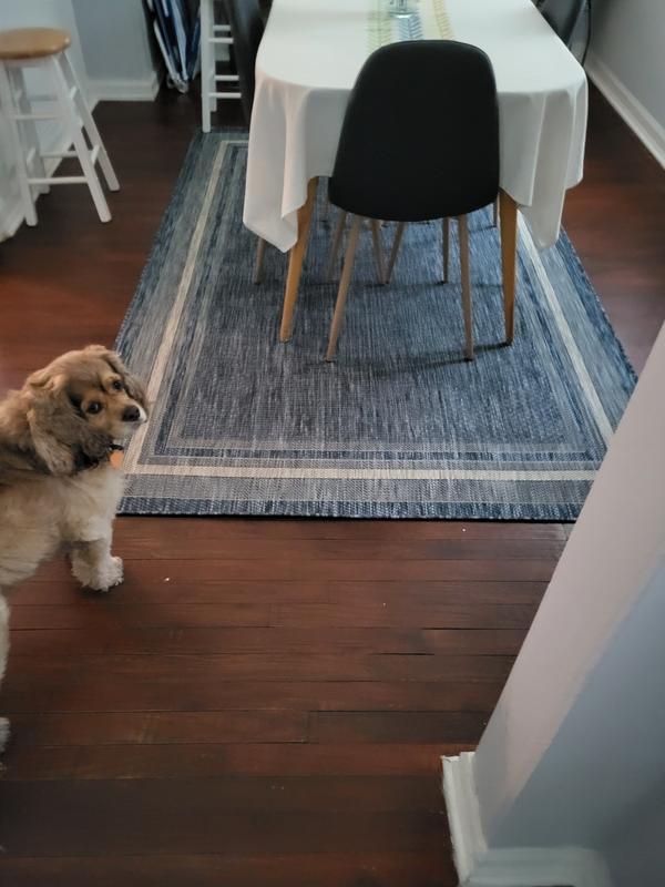 Customer photo for review titled "Best rug ever"