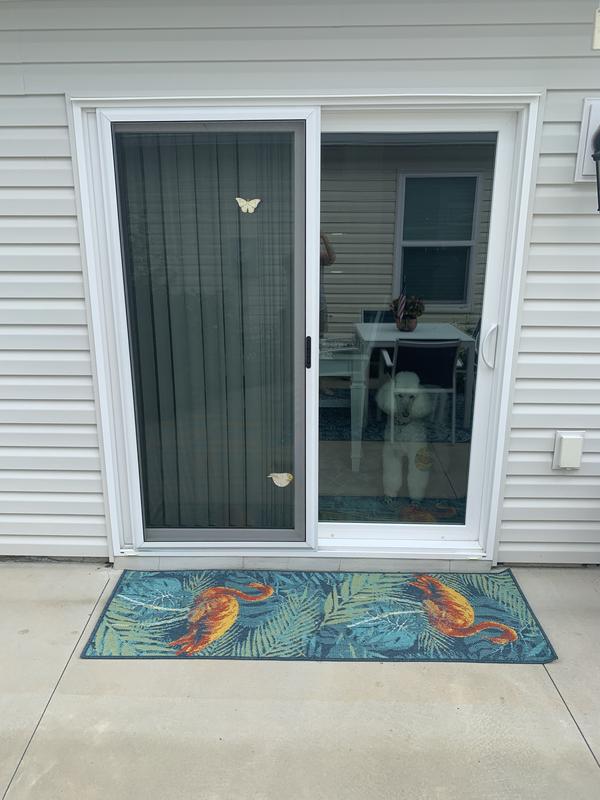 Customer photo for review titled "Perfect BDAY GIFT"