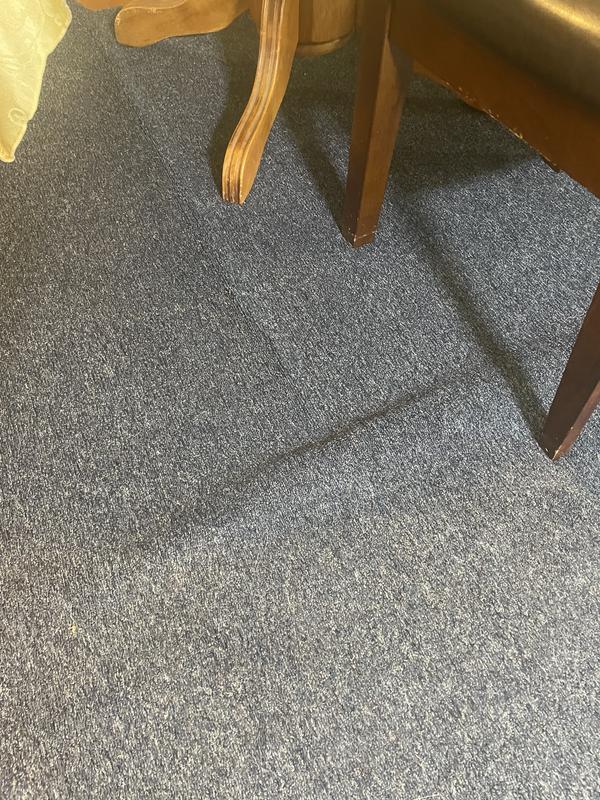 Customer photo for review titled "Everyday solid"