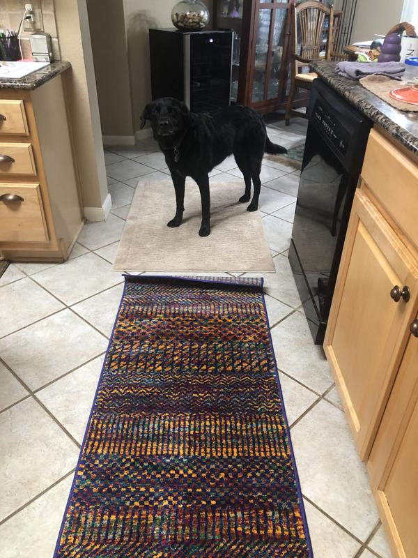 Customer photo for review titled "Colorful unique rugs!"