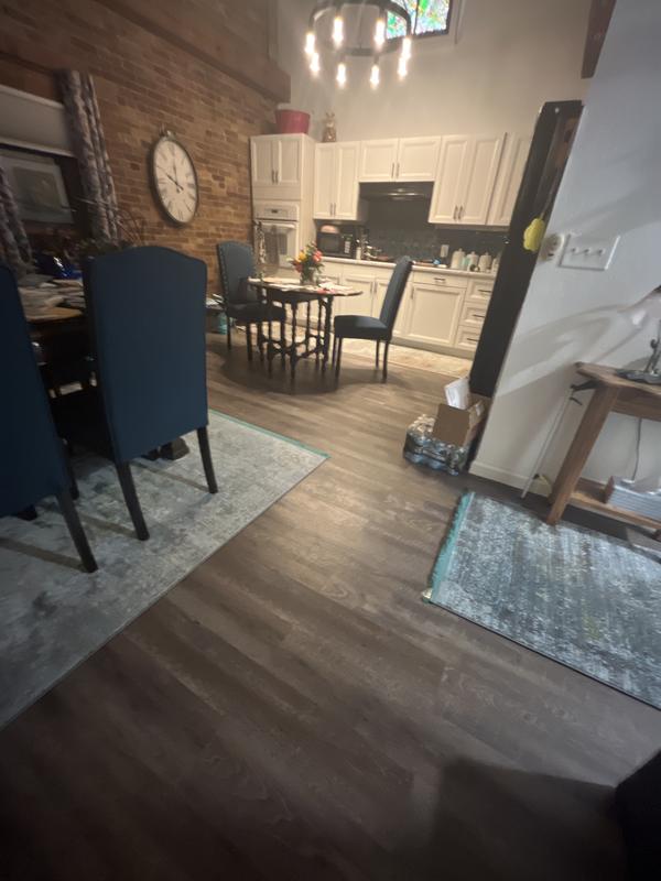 Customer photo for review titled "Dog ate the rug!  Rugs.com saved the day."