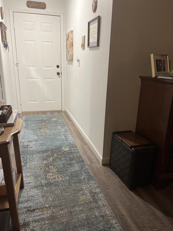Customer photo for review titled "Dog ate the rug!  Rugs.com saved the day."