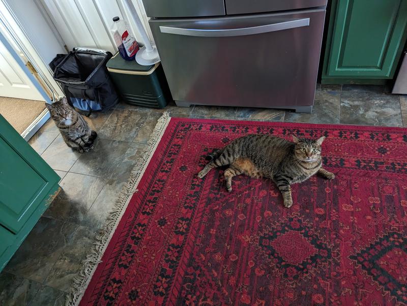 Customer photo for review titled "3 years on and it's still awesome"