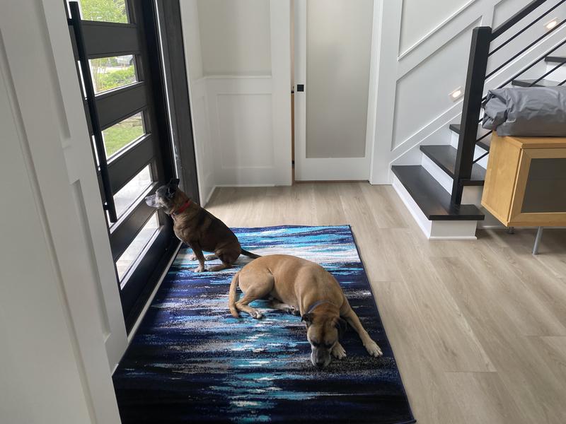 Customer photo for review titled "Adds a touch of class to a modern room"