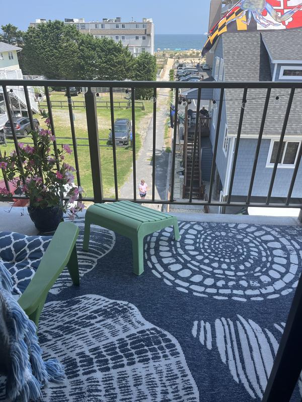Customer photo for review titled "Best outdoor rug ever"