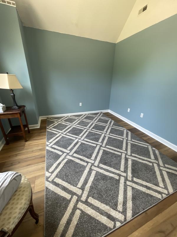 Customer photo for review titled "Great rug for the money"