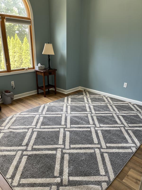 Customer photo for review titled "Great rug for the money"