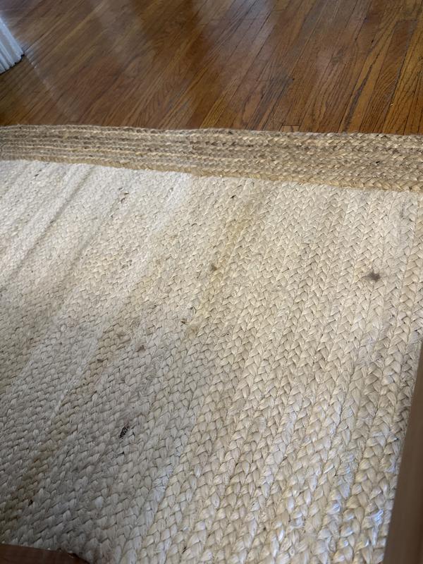 Customer photo for review titled "Fantastic Purchase!"