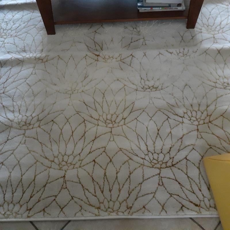 Customer photo for review titled "Beautiful soft glamorous rug"