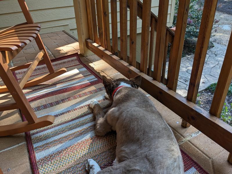 Customer photo for review titled "Baja the Beautiful!"