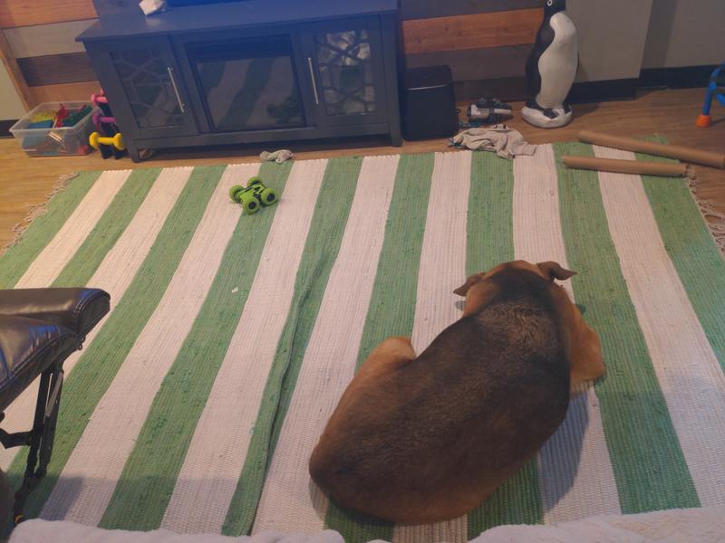 Customer photo for review titled "-"