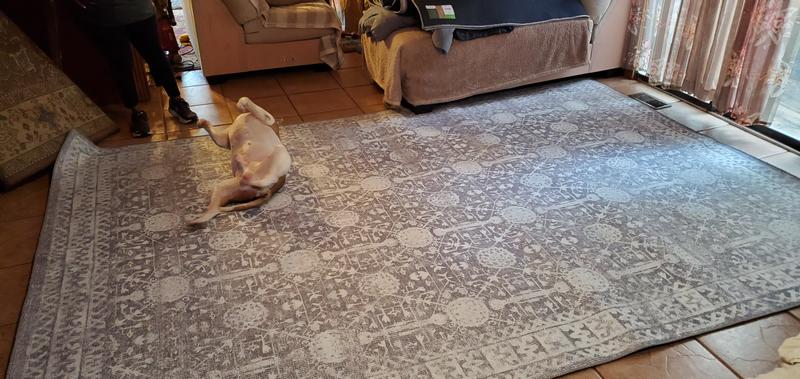 Customer photo for review titled "Very Nice Rugs."