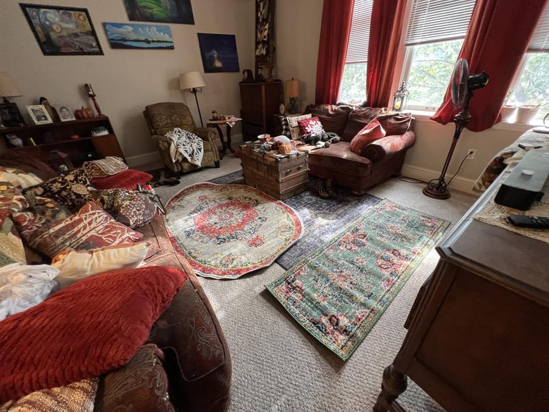 Customer photo for review titled "Awesome rug!"