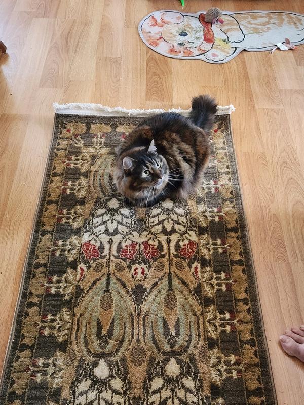 Customer photo for review titled "Pleasantly surprised!"