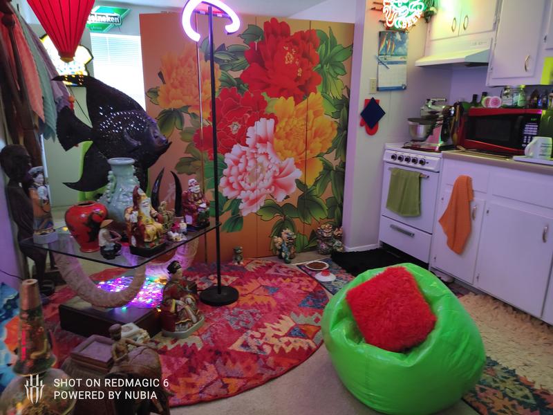 Customer photo for review titled "Beautiful new rug!"