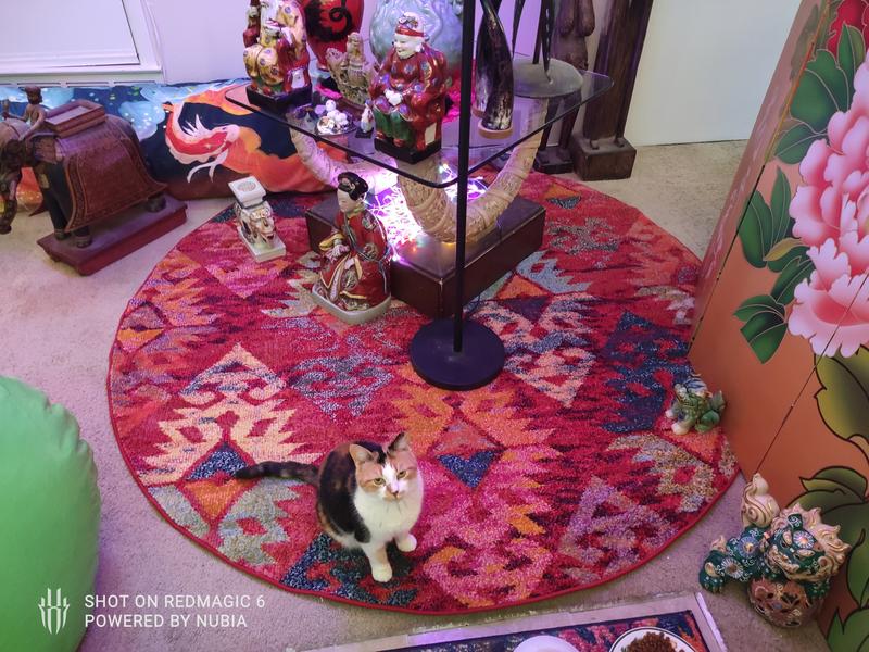 Customer photo for review titled "Beautiful new rug!"