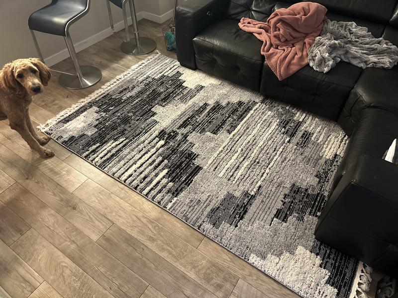 Customer photo for review titled "Nice Rug"