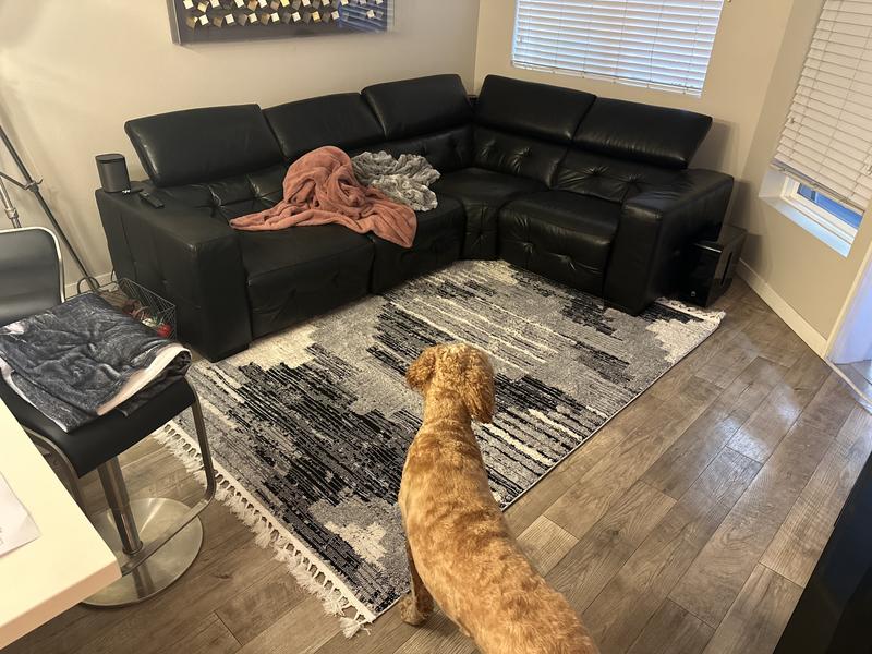 Customer photo for review titled "Nice Rug"