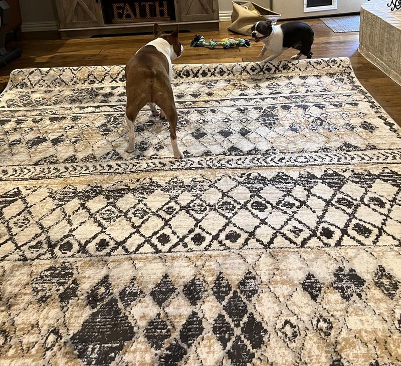 Customer photo for review titled "So happy I found this rug"