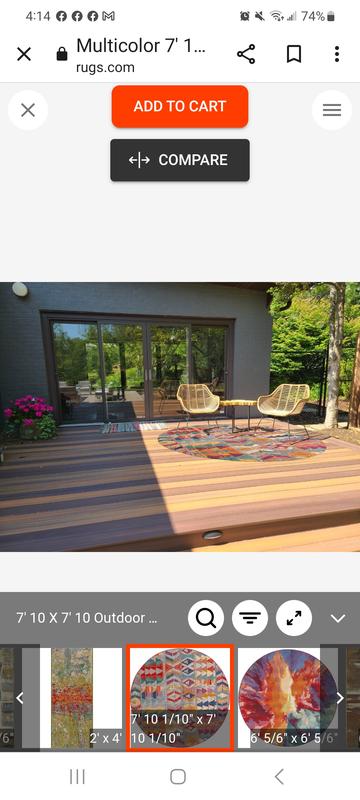 Customer photo for review titled "Great outdoor modern rug"