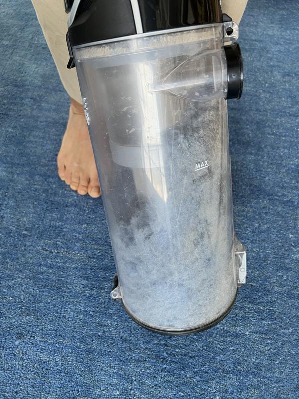 Customer photo for review titled "Beautiful but never ending shedding"