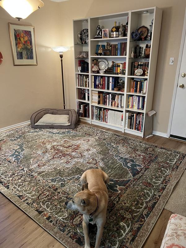 Customer photo for review titled "Love the colors in this rug!"