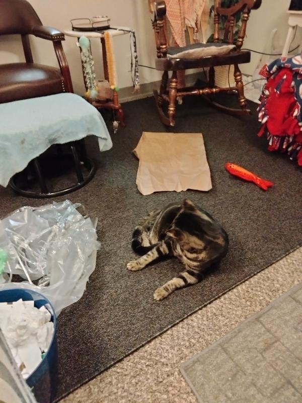 Customer photo for review titled "Great area rug!"