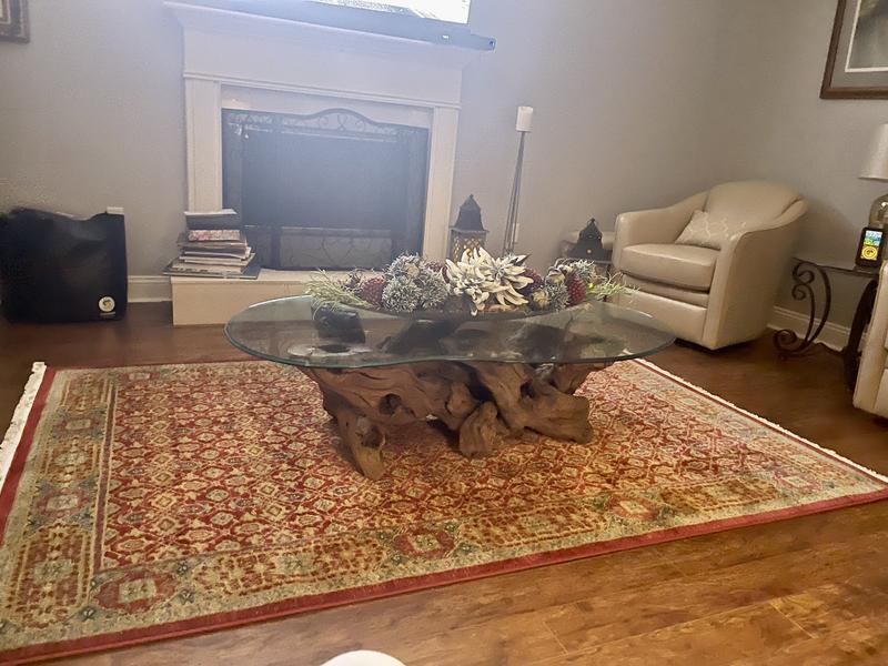 Customer photo for review titled "Amina Rug 5 x 8. Perfect"