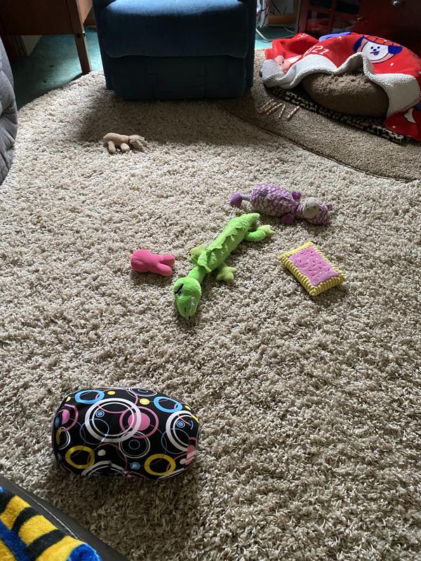 Customer photo for review titled "Excellent carpet!"