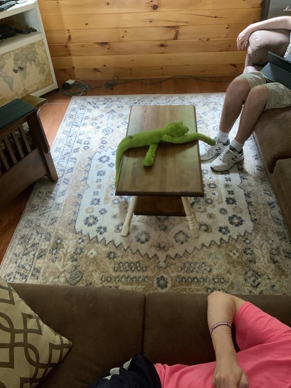 Customer photo for review titled "Great rug"