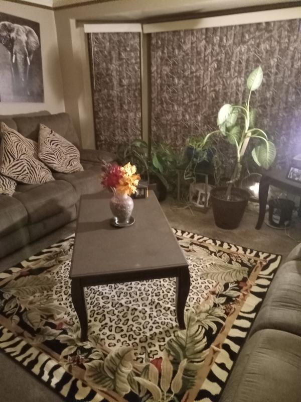 Customer photo for review titled "Nice rug"