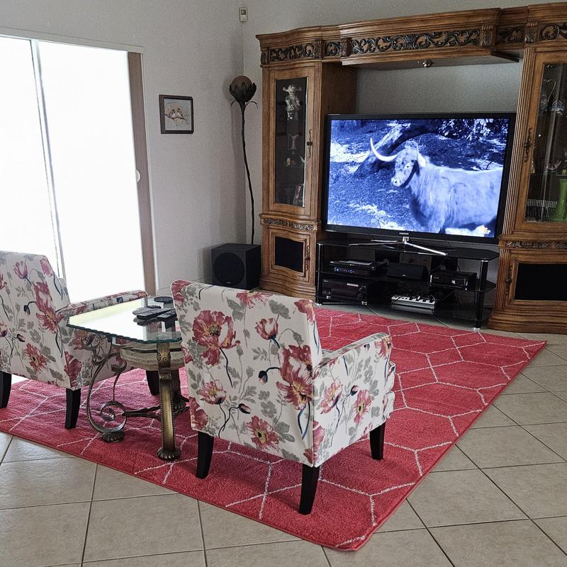 Customer photo for review titled "Extremely pleased."