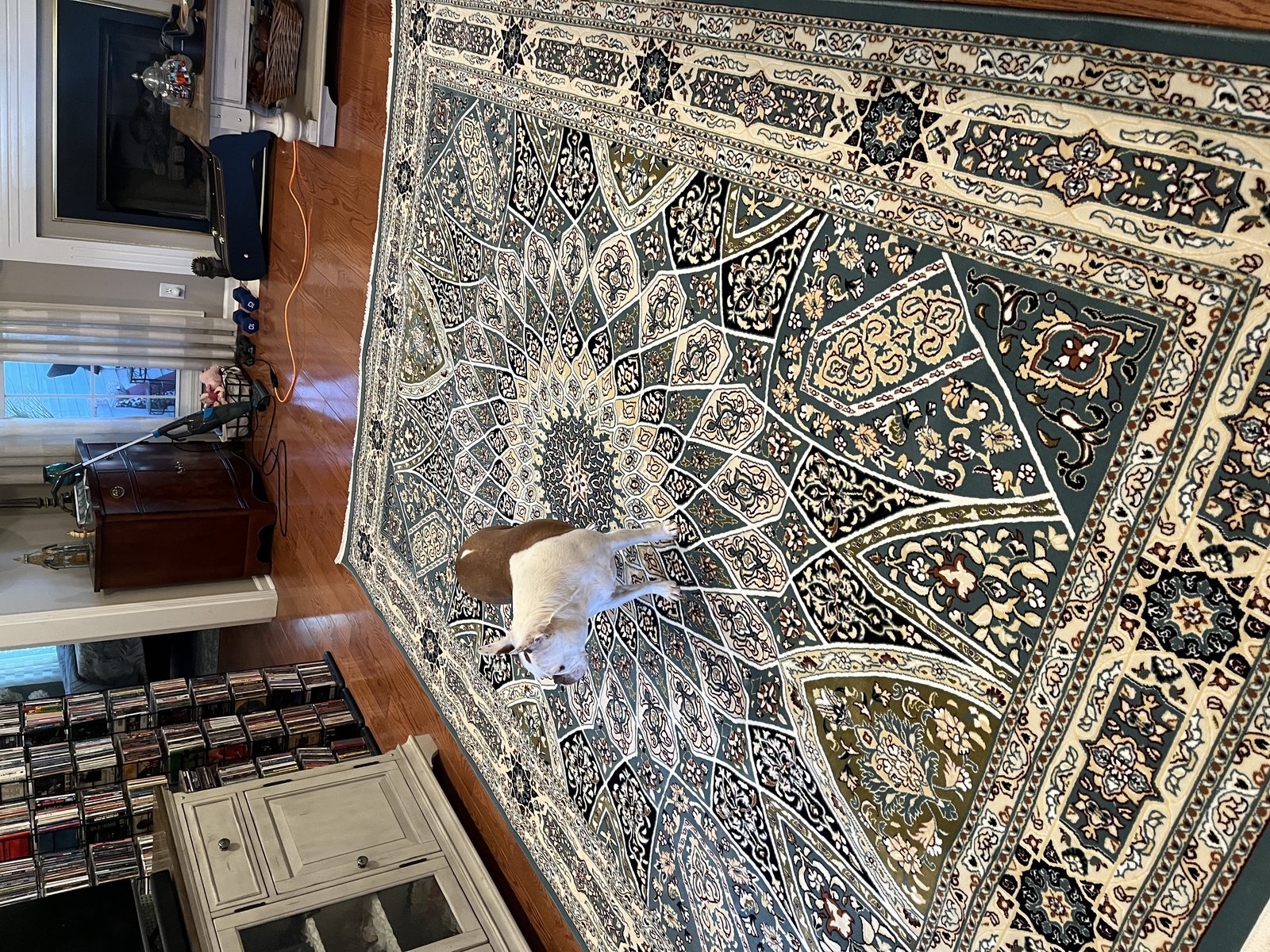 Customer photo for review titled "Beautiful"