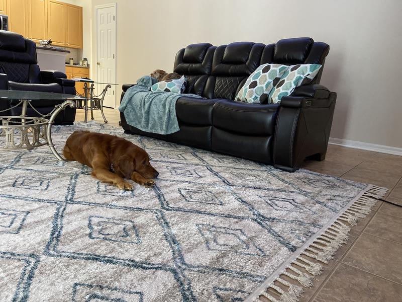 Customer photo for review titled "Beautiful rug"