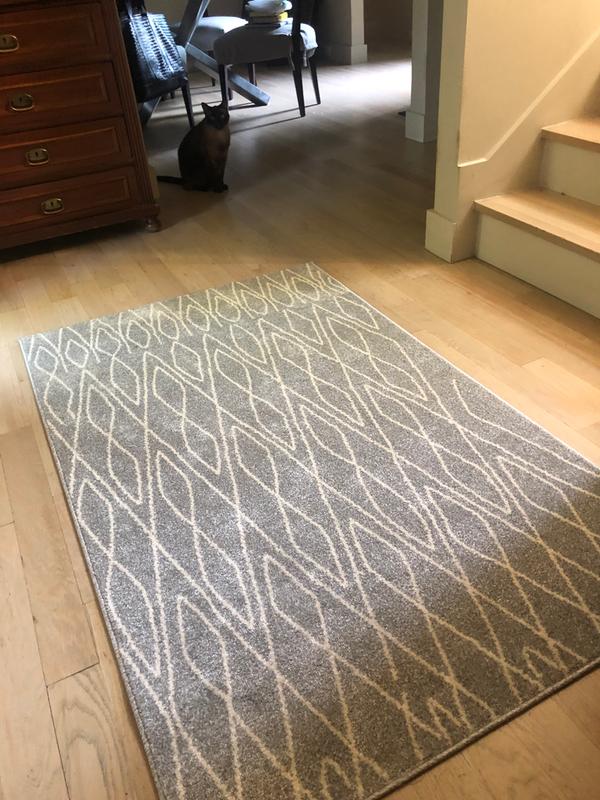 Customer photo for review titled "Super soft rug!"