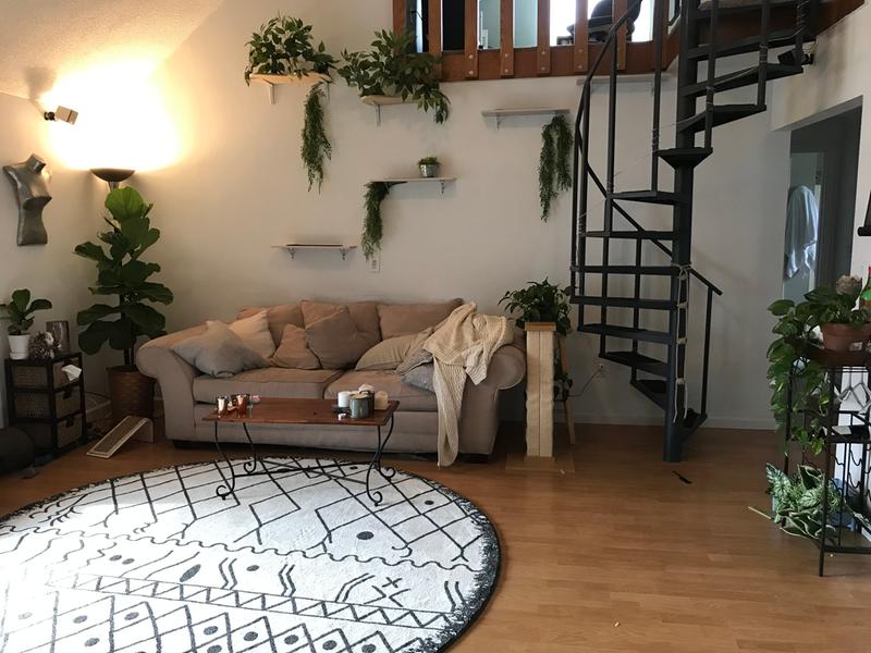 Customer photo for review titled "Love this rug! So unique"