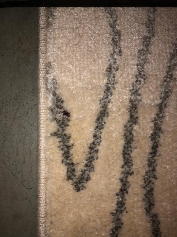 Customer photo for review titled "color flawed"