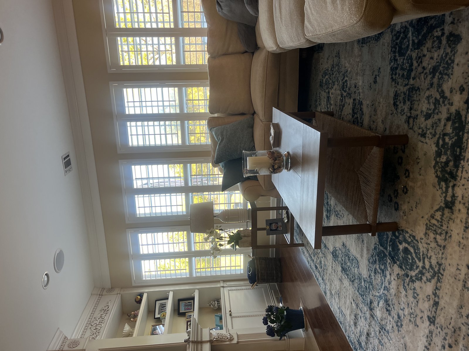 Customer photo for review titled "Great rug!"