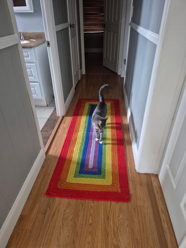 Customer photo for review titled "Brightens up hallway!"