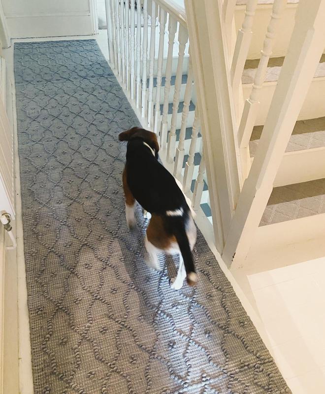Customer photo for review titled "It fits!"
