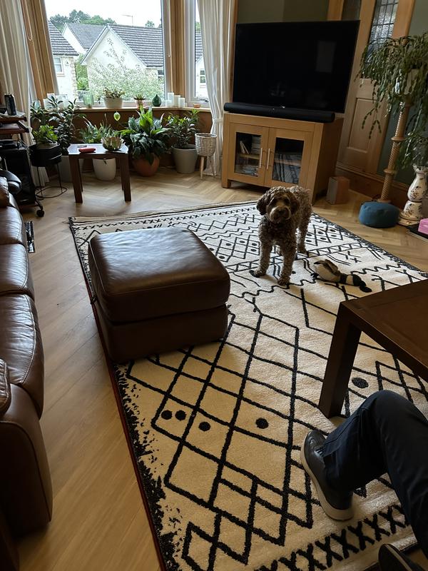 Customer photo for review titled "Much Admired"