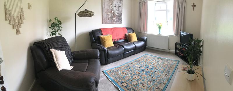 Customer photo for review titled "Good rug for price"