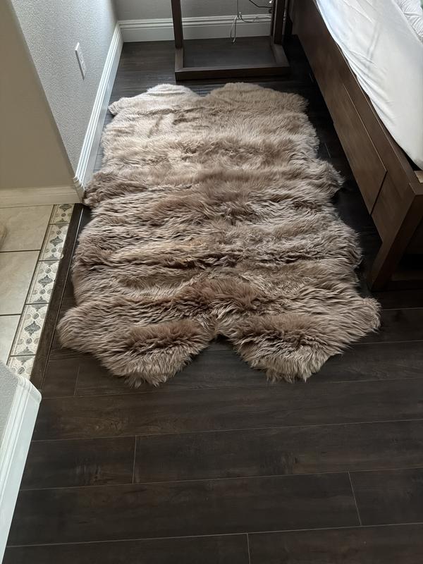 Customer photo for review titled "Area rug"