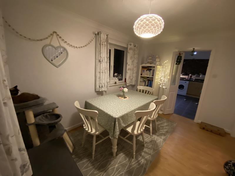 Customer photo for review titled "Perfect rug!"